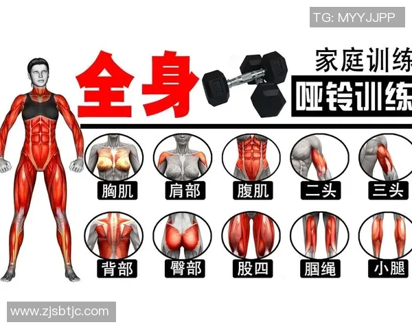 在家用哑铃进行全身锻炼的有效方法与训练计划分享